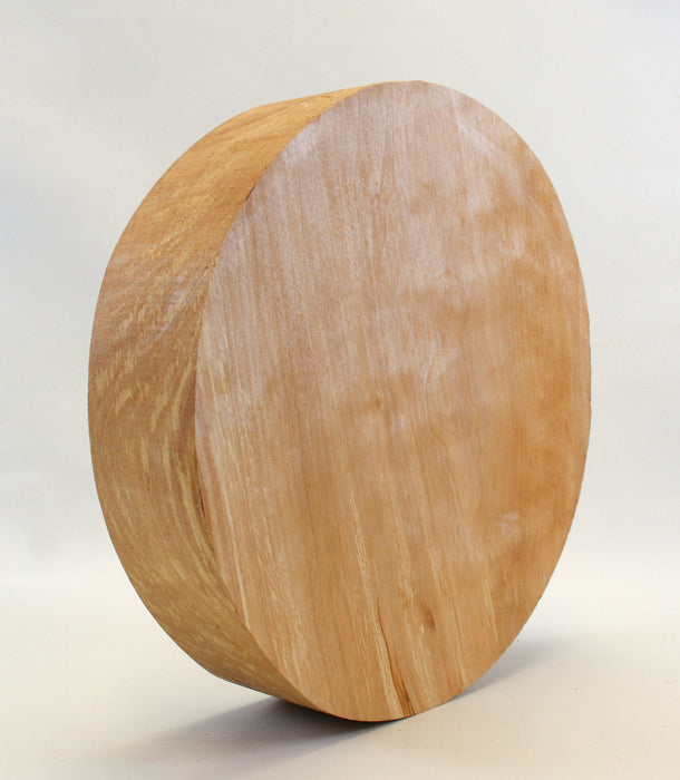 Birch Round, 12.2" x 2.8" Thick  - Stock #42690