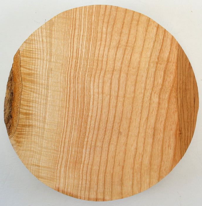 Ash Round, 10" x 2" Thick - Stock #42693