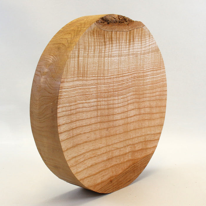 Ash Round, 10" x 2" Thick - Stock #42693
