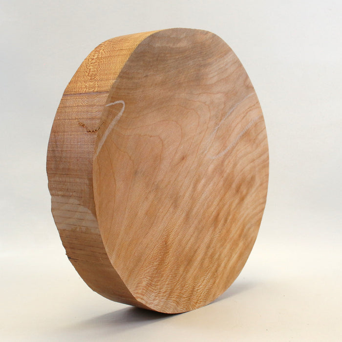Beech Round, 10.8" x 2.6" Thick - Stock# 42697