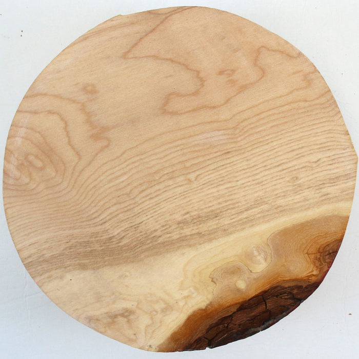 Maple Round, 7.9" x 2.4" Thick - Stock #42718