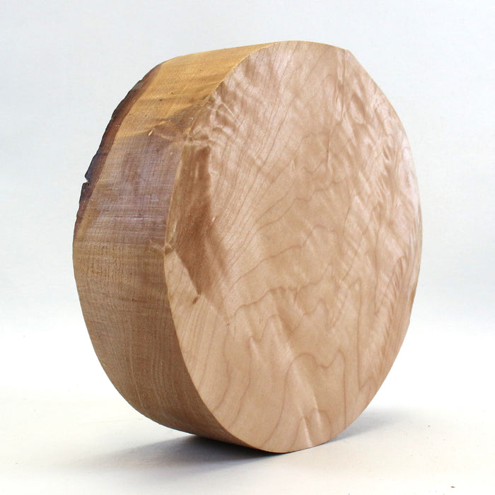 Maple Round, 7.9" x 2.4" Thick - Stock #42718