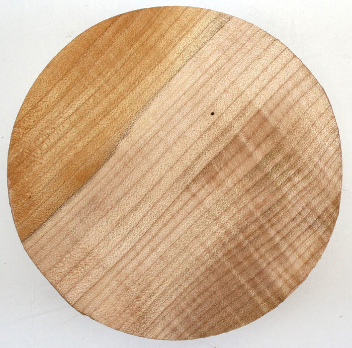 Maple Round, Figured, 6.1" x 2.3" Thick - Stock #42727
