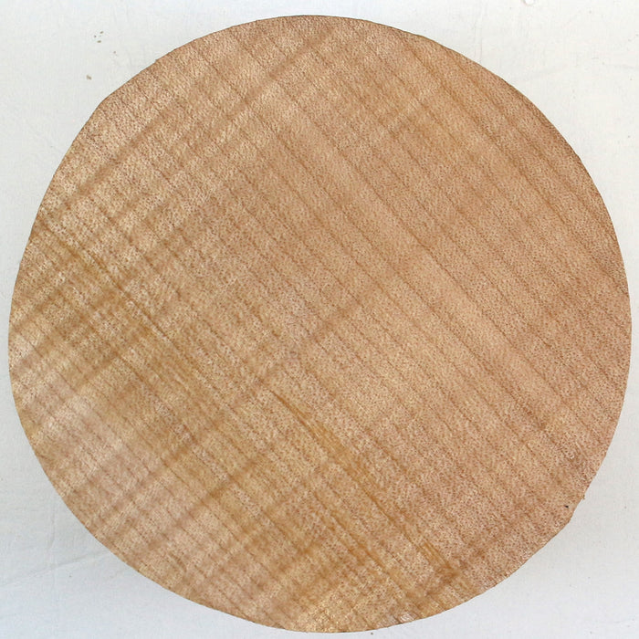 Maple Round, Highly Figured, 6" x 2.4" Thick - Stock #42743