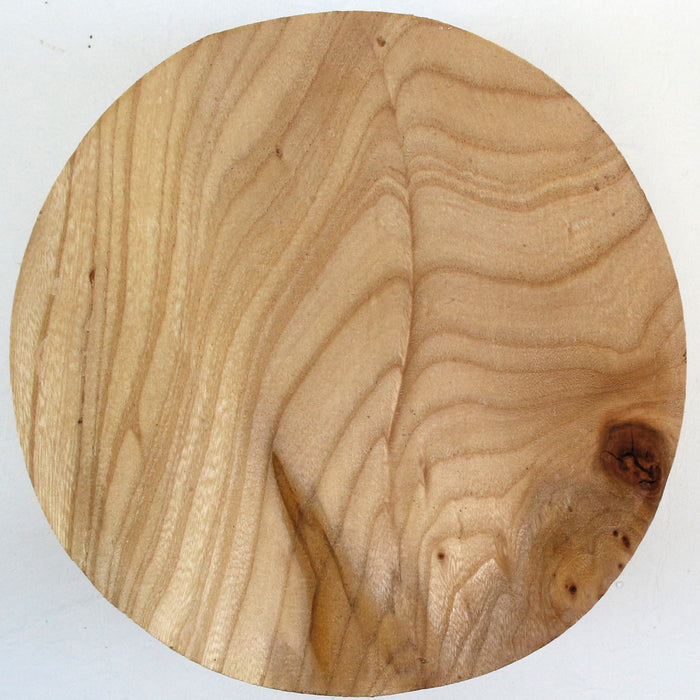 Elm Round, 6.7" x 3.3" Thick  - Stock #42744