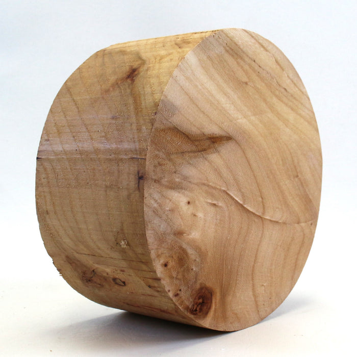 Elm Round, 6.7" x 3.3" Thick  - Stock #42744