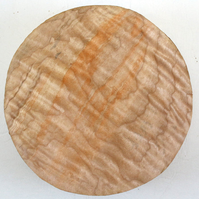 Maple Round, Highly Figured, 5.8" x 1.8" Thick - Stock #42741