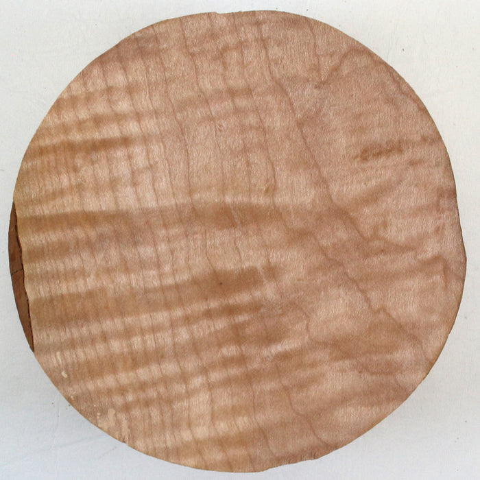 Maple Round, Highly Figured,6" x 2.4" Thick - Stock #42740