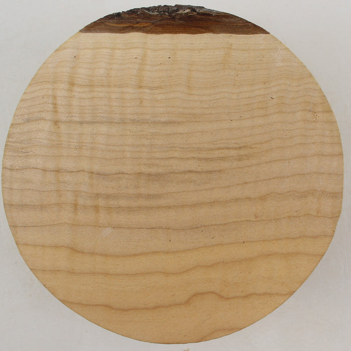 Maple Flame Round, Figured, 5.9" x 2.4" Thick - Stock #41408