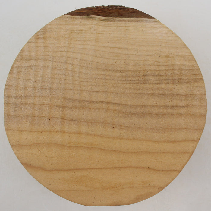 Maple Flame Round, Figured, 5.9" x 2.4" Thick - Stock #41407