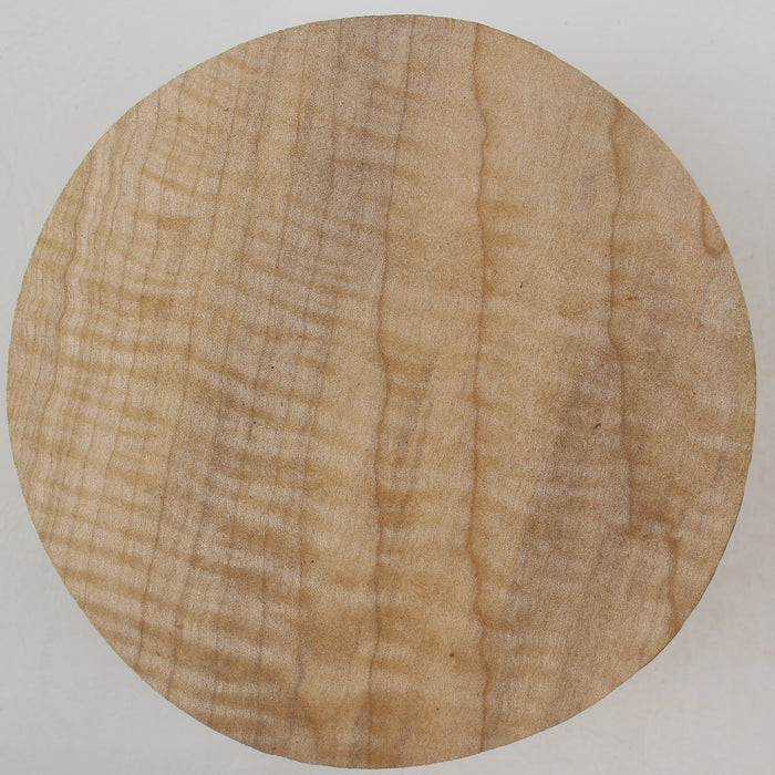 Maple Round, Highly Figured, 5.9" x 2.4" Thick  - Stock #41405