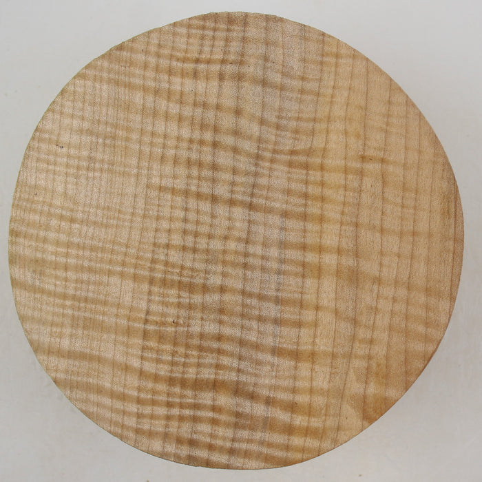 Maple Flame Round, Exceptionally Figured, 5.9" x 2.4" Thick - Stock #41403