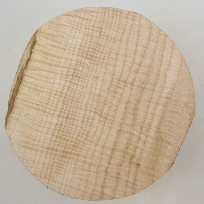 Maple Flame Round, Exceptionally Figured, 6.2" x 2.4" Thick  - Stock #41401