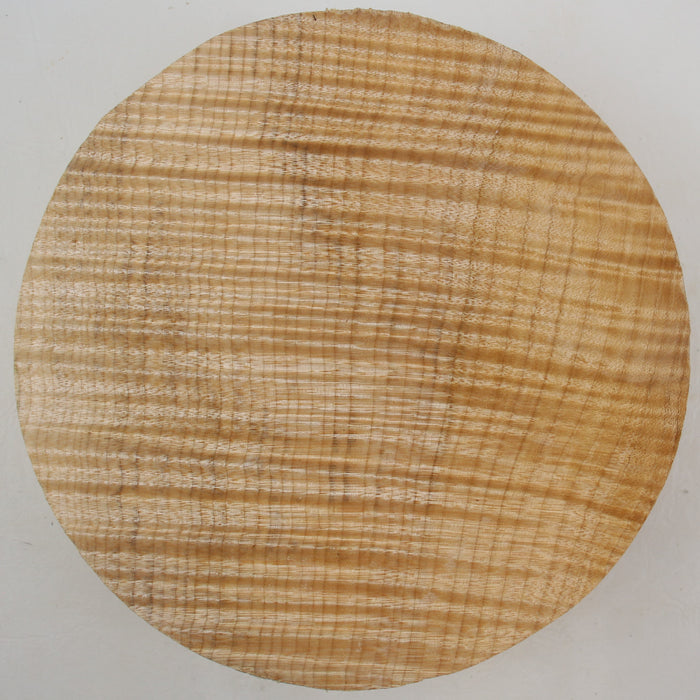 Maple Flame Round, Exceptionally Figured, 8.1" x 2.3" Thick - Stock #41412