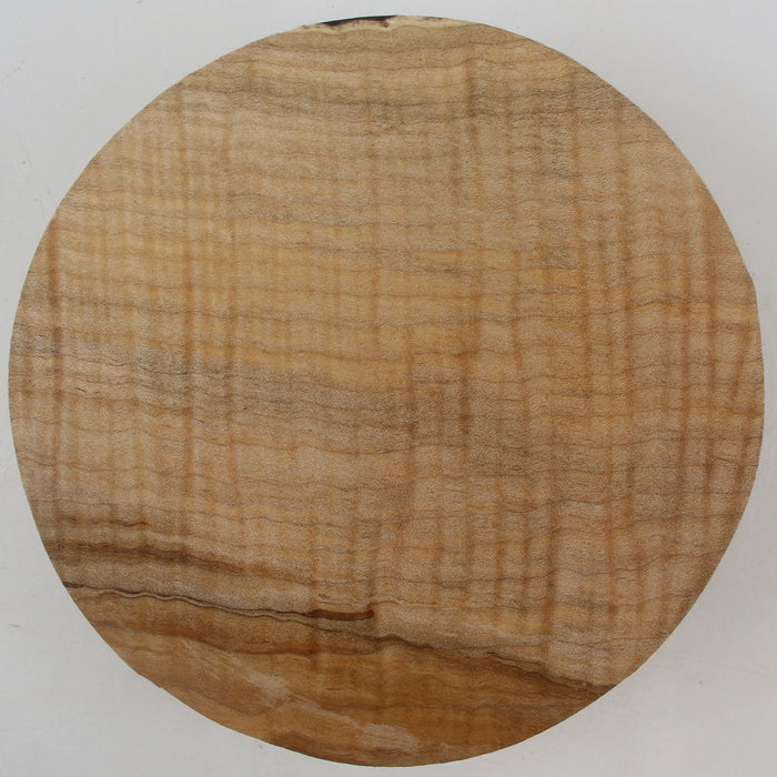 Maple Flame Round, Very Highly Figured, 7.9" x 2.2" Thick - Stock #41411