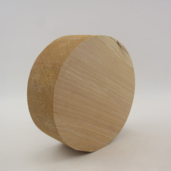 Maple Round, 7.9" x 2.9" Thick  - Stock #41418