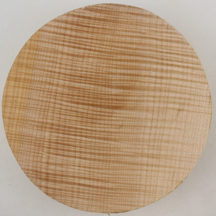 Maple Flame Round, Exceptionally Figured, 8.0" x 2.0" Thick  - Stock #41414