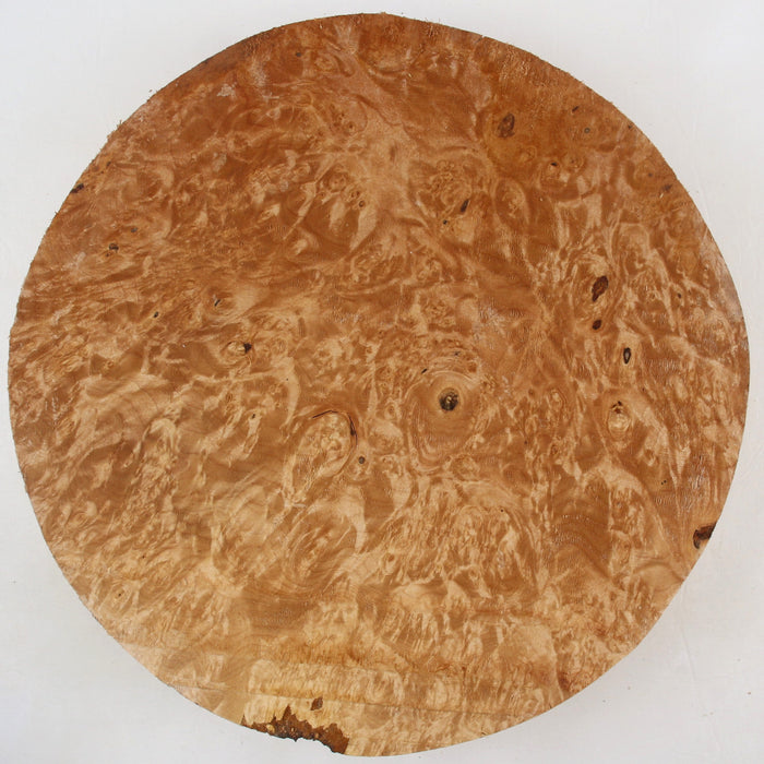 Maple Burl Round, Very Highly Figured, 11.8" x 2.3 Thick - Stock #41433