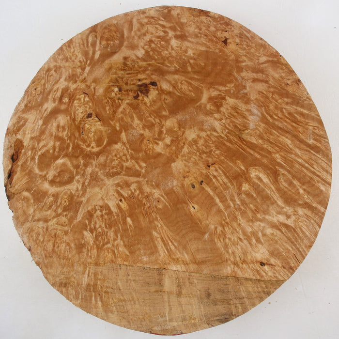 Maple Burl Round, Very Highly Figured, 11.8" x 2.3 Thick - Stock #41433