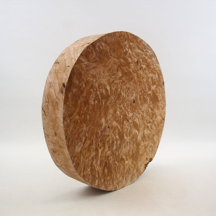 Maple Burl Round, Very Highly Figured, 11.8" x 2.3 Thick - Stock #41433