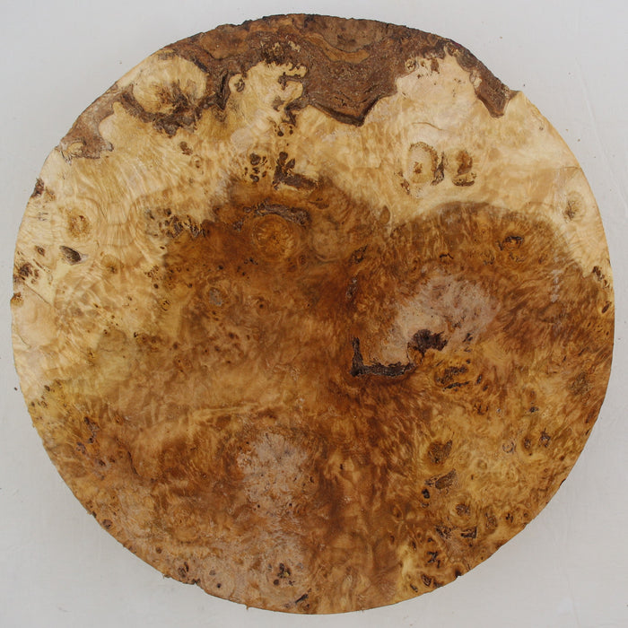 Cottonwood Burl Round, 8.9" x 1.7" Thick  - Stock #41428