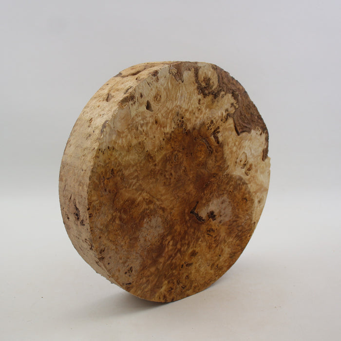 Cottonwood Burl Round, 8.9" x 1.7" Thick  - Stock #41428