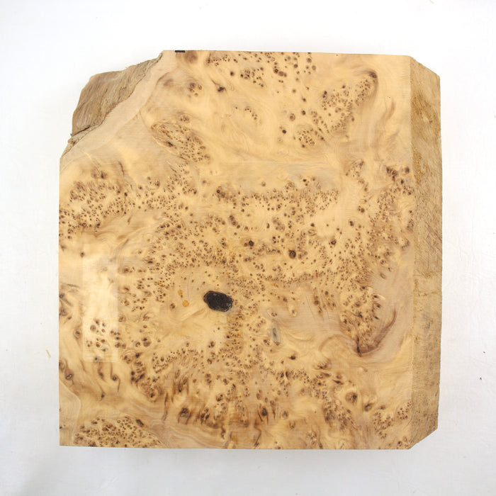 Yellow Cedar Burl Block, 28.5cm x 28cm x 8.3cm Thick - Stock #41478