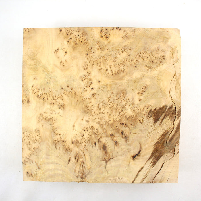 Yellow Cedar Burl Block, 28.5cm x 28cm x 8.3cm Thick - Stock #41478