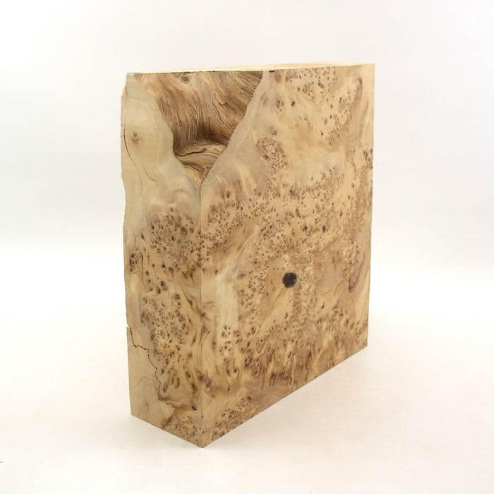 Yellow Cedar Burl Block, 28.5cm x 28cm x 8.3cm Thick - Stock #41478