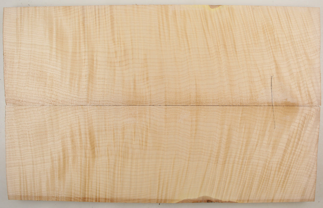 Maple Flame Archtop Back/Carve Top, 3A+ Highly Figured, 2.5cm (0.98") Thick - Stock #41483