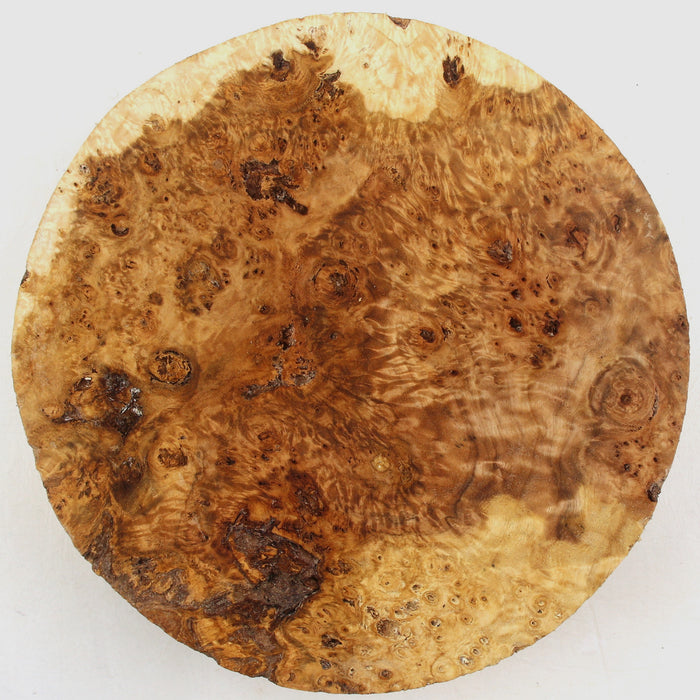 Cottonwood Burl Round, 8.9" x 1.7" Thick  - Stock #41428