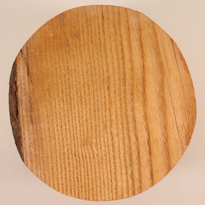 Sassafras Round, 7.1" x 3.9" Thick - Stock #41562