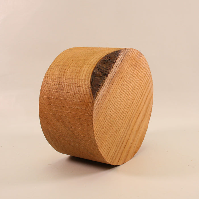 Sassafras Round, 7.1" x 3.9" Thick - Stock #41562