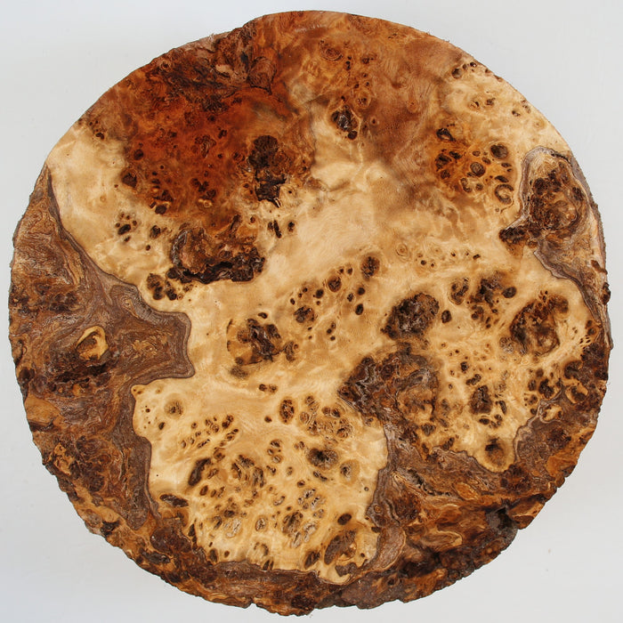 Cottonwood Burl Round, 8.8" x 3.5" Thick  - Stock #41585