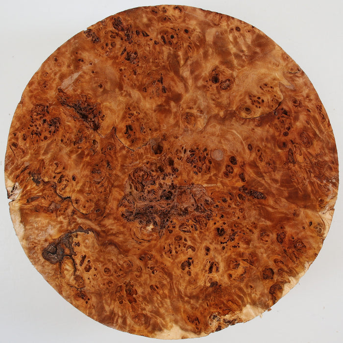 Cottonwood Burl Round, 8.8" x 3.5" Thick  - Stock #41585