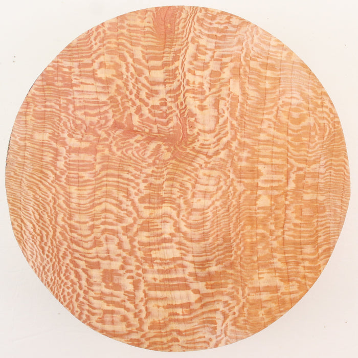 London Plane Round,7.0" × 2.4" thick - Stock #41639