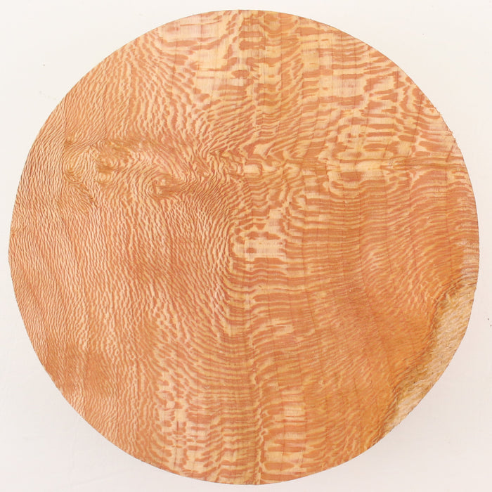 London Plane Round,7.0" × 2.4" thick - Stock #41639