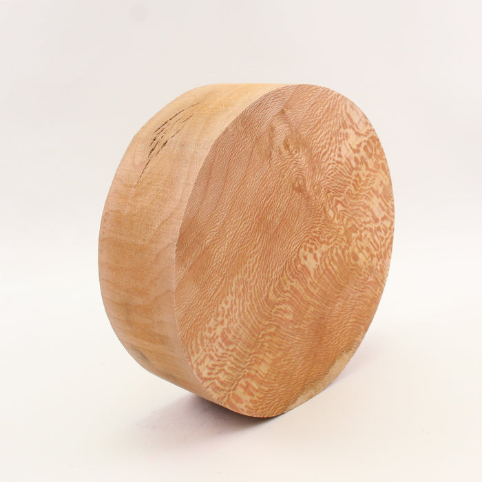 London Plane Round,7.0" × 2.4" thick - Stock #41639