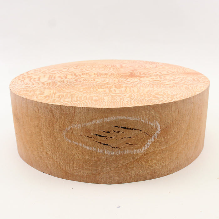 London Plane Round,7.0" × 2.4" thick - Stock #41639