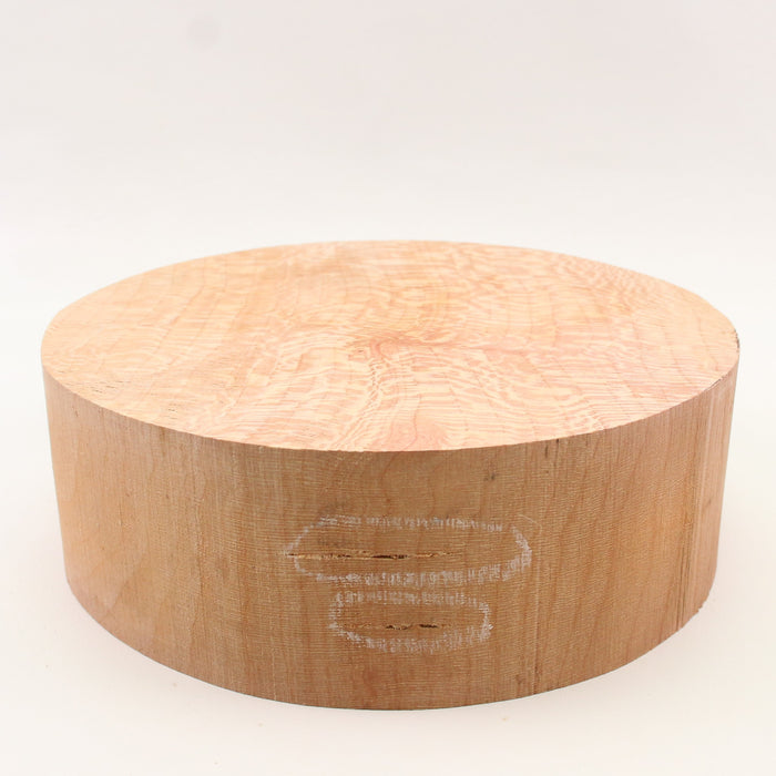 London Plane Round,7.0" × 2.4" thick - Stock #41639