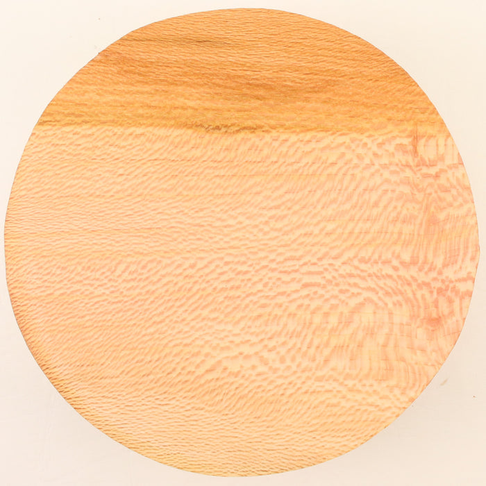 London Plane Round,6.9" × 2.1" thick - Stock #41644