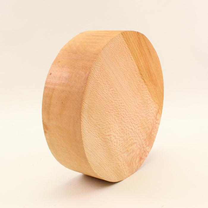 London Plane Round,6.9" × 2.1" thick - Stock #41644