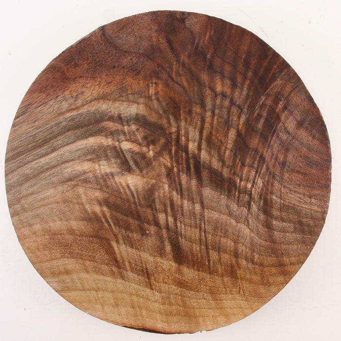 Black Walnut Round, Figured,10.0" × 1.6" Thick - Stock #41630