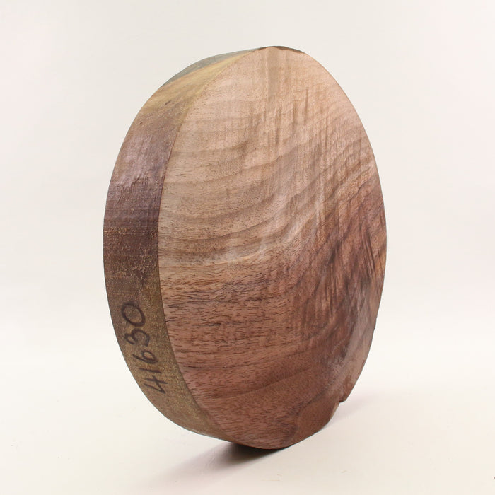 Black Walnut Round, Figured,10.0" × 1.6" Thick - Stock #41630