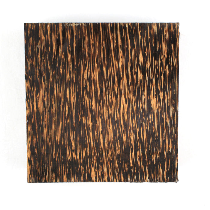 Black Palm 5" square x 2" thick (12.7cm x 5cm)