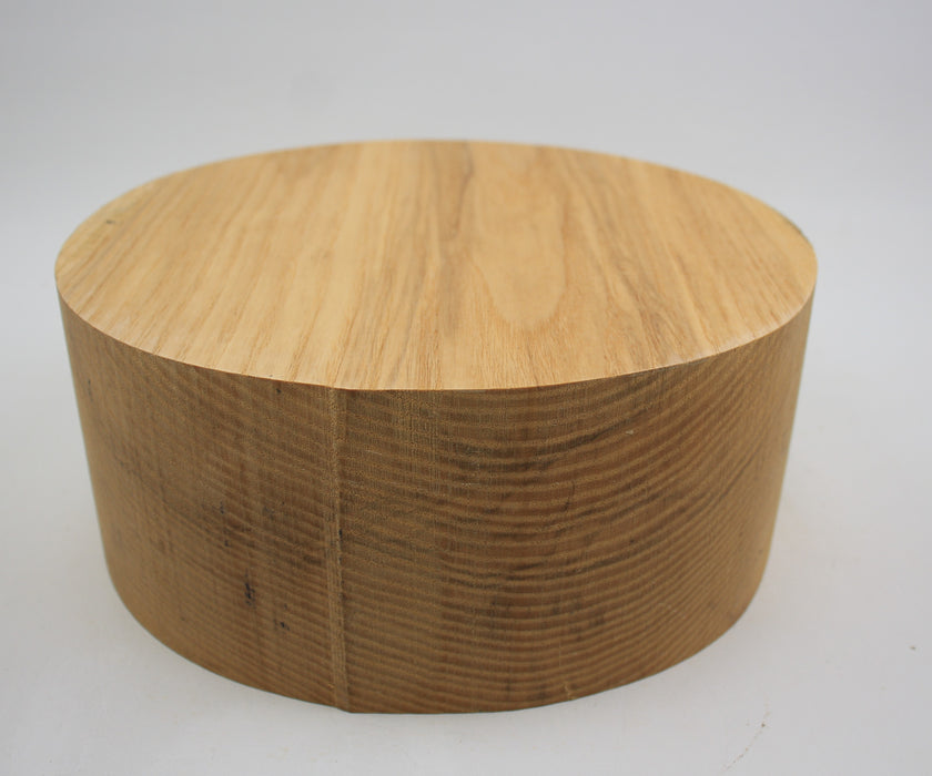 Ash Round 9" x 3.7" Thick - Stock #40147