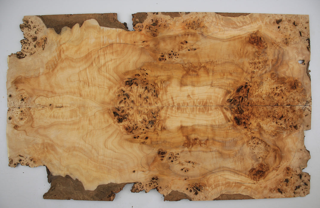 Maple Burl Guitar Set, 6.5mm (0.25") Thick, Figured - Stock #40745