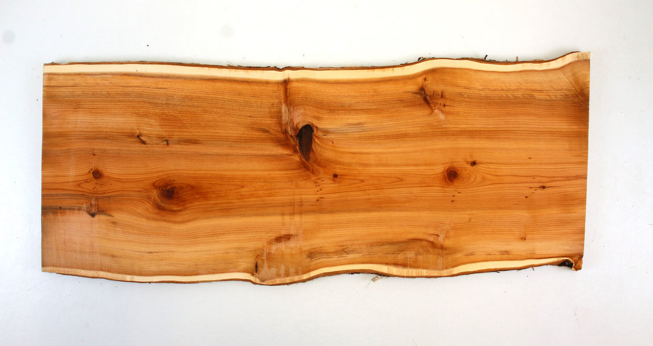 Yew Live Edge Project Slice 24.1" x 8.7" x .41"- Stock# 42127