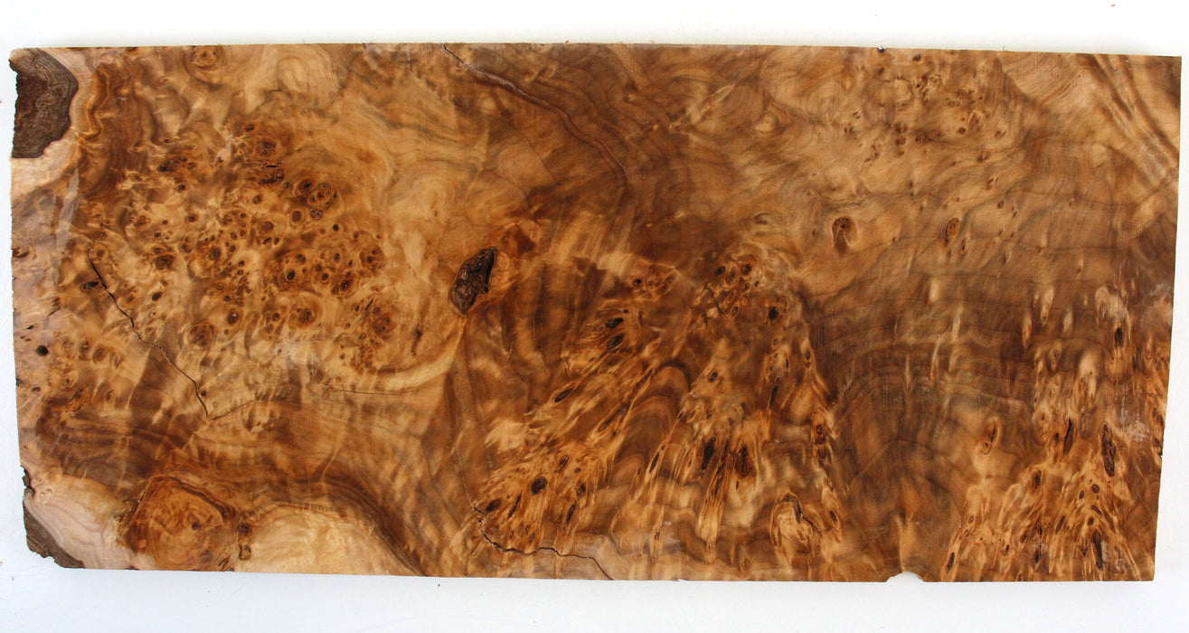 Cottonwood Burl Craftwood Project Slice, 9.2mm (.36") Thick - Stock# 42156