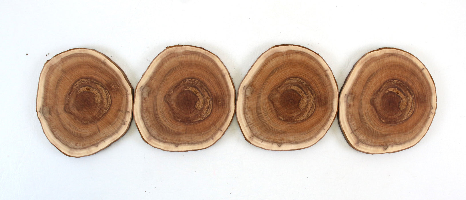 Yew Live Edge Slices- Set of 4 - Stock# 42159